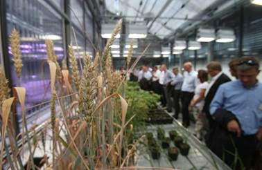 Clariant amplia suporte à pesquisa e desenvolvimento para enfrentar os desafios do setor agrícola