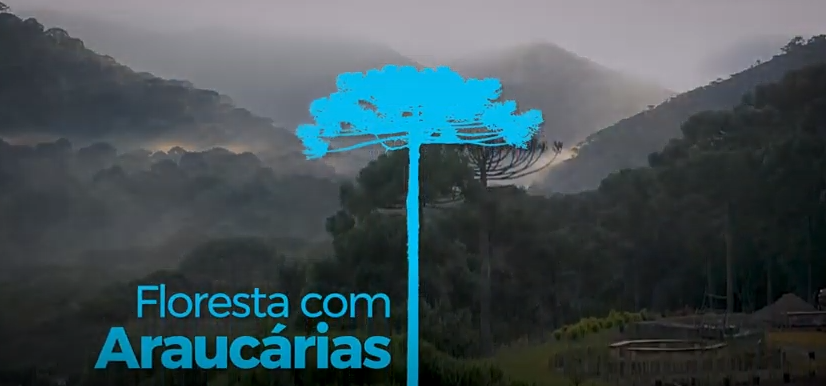 Tetra Pak Brasil - Conservador das Araucárias