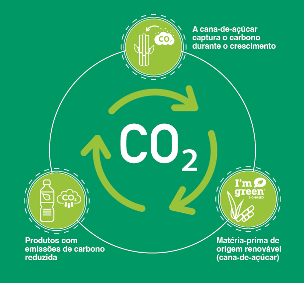 Como o plástico da cana-de-açúcar pode reduzir a pegada de carbono  
