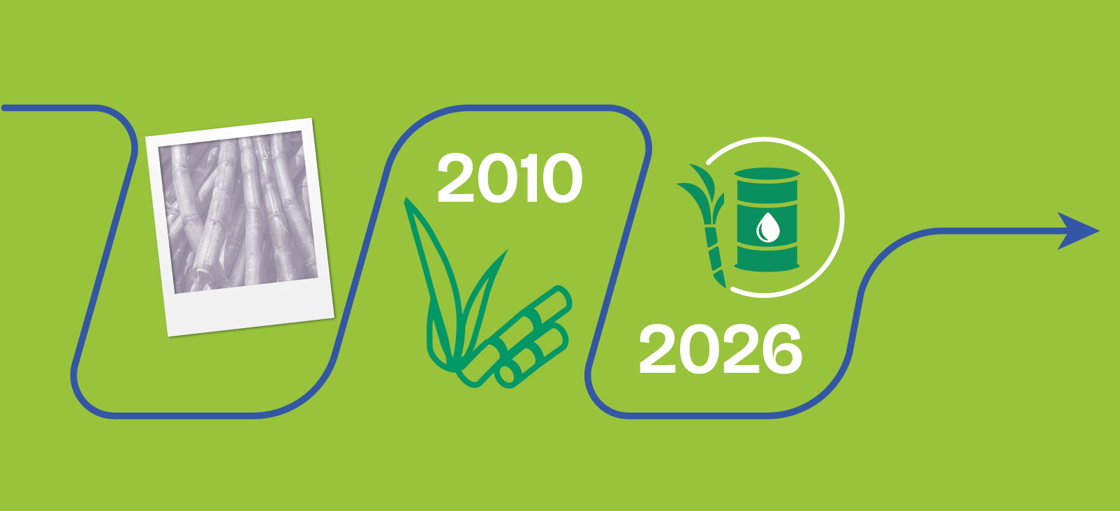 Portfólio I’m green™ bio-based completou 16 anos com mais de 4,6 milhões de  toneladas de CO? absorvidas  