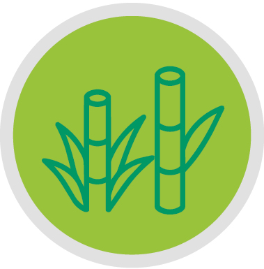 Bioplásticos e alimentos: entendendo o uso integrado da terra 
