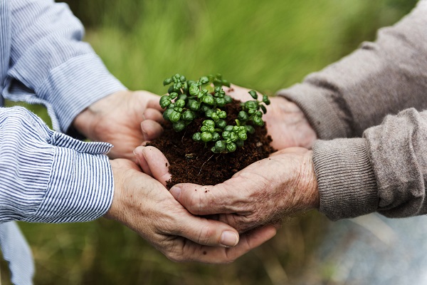 A tecnologia é essencial para reforçar a sustentabilidade