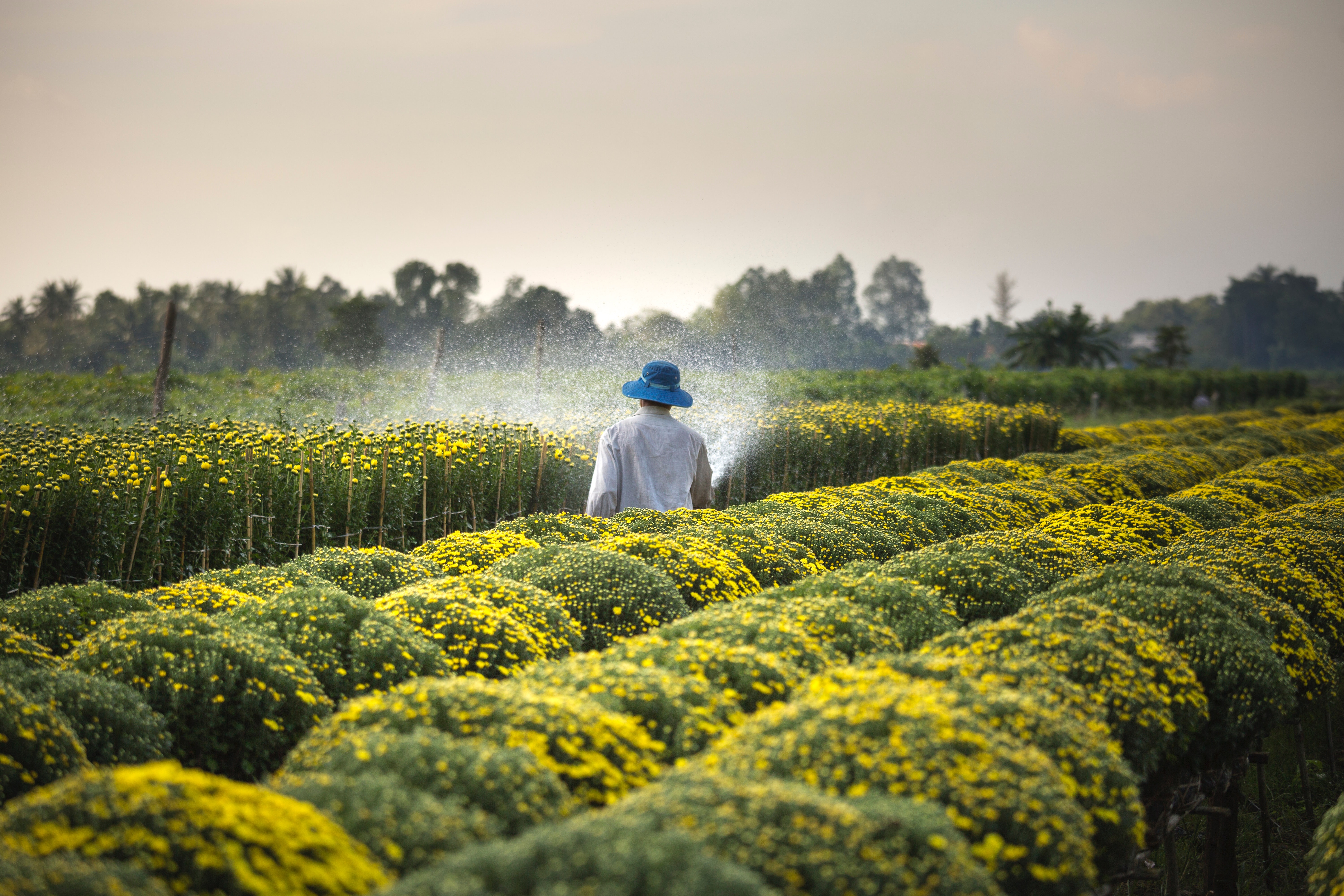 Títulos agrícolas chegam a novos setores do mercado