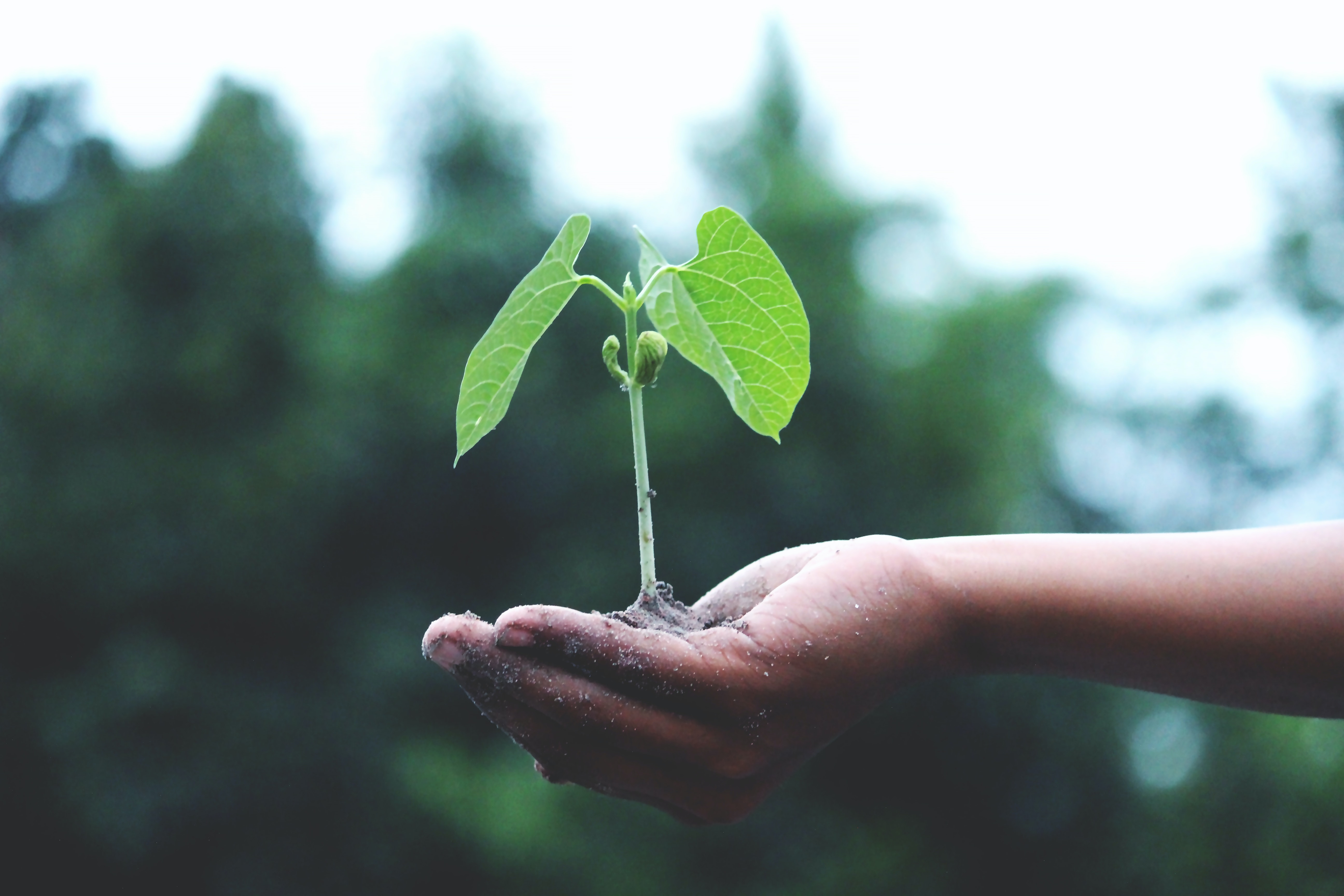 Schneider Electric é premiada pelo Einstein na categoria sustentabilidade