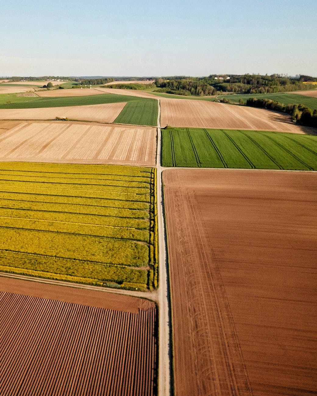 Agronegócio tem mais 6 meses para se adaptar à Lei do Agro