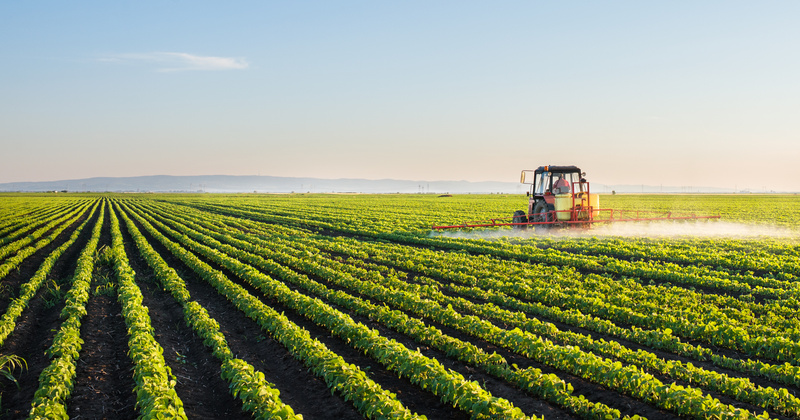 Setor agroalimentar aposta na inovação tecnológica para superar desafios