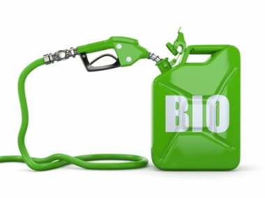 FAPESP e BBSRC, do Reino Unido, anunciam apoio a projetos para o desenvolvimento de biocombustíveis de segunda geração