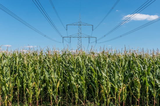 Bioprodutos é a solução para a falta de energia elétrica