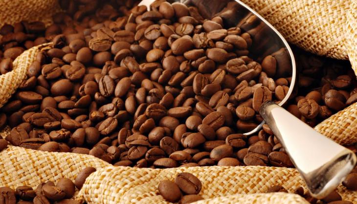 Brasil exporta 40,6 milhões de sacas de café em 2019 e bate recorde histórico