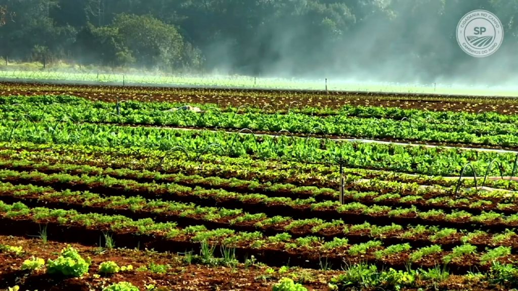 Reorganização do modelo de negócio com base na economia circular será chave para agro sustentável