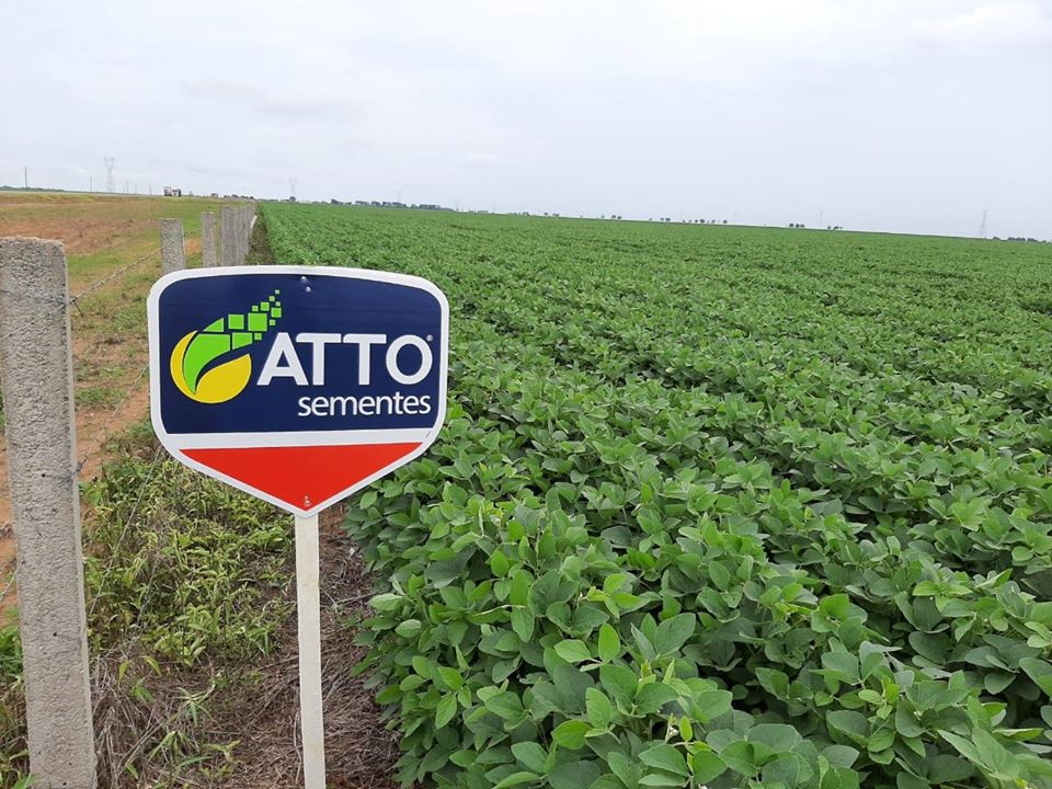 Fazenda Inteligente traz aumento de competitividade