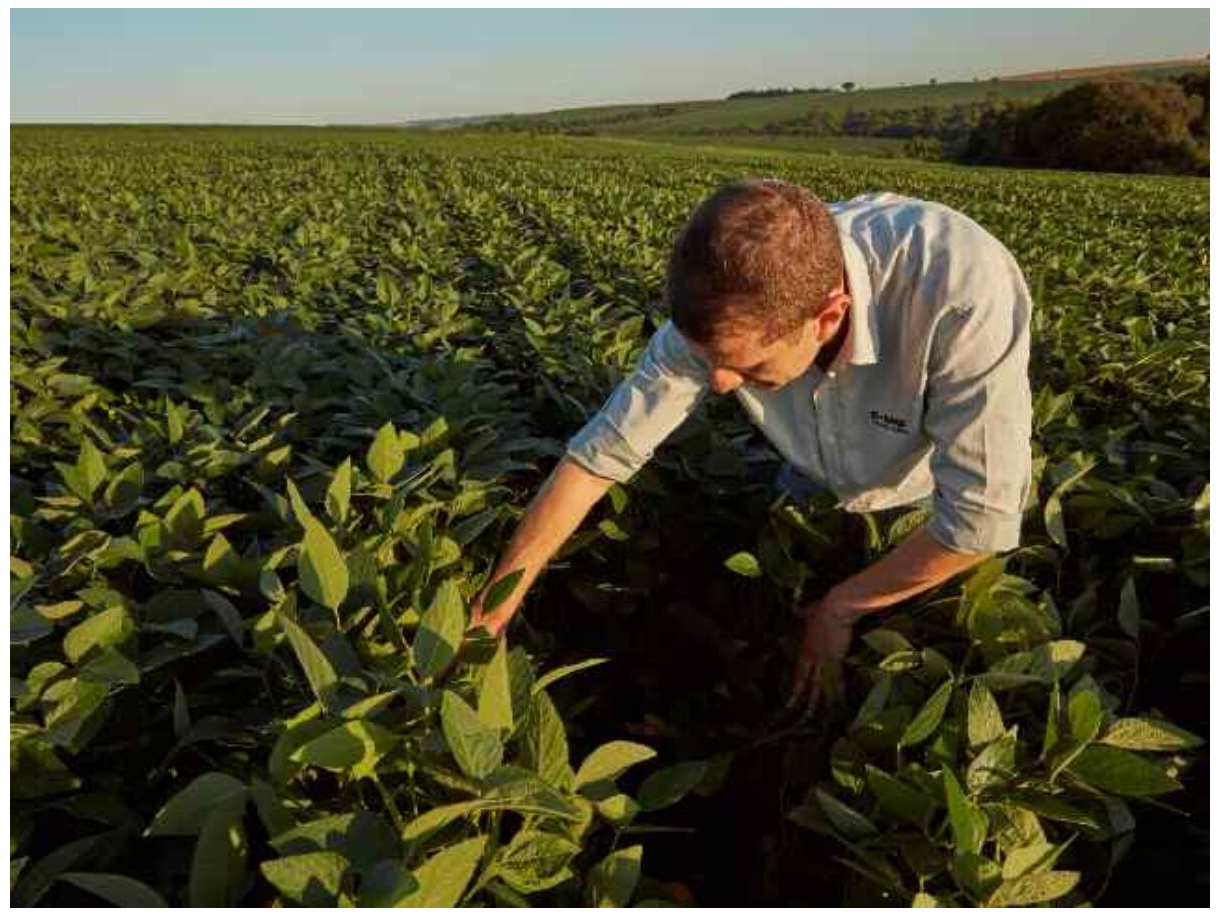 BASF avança no controle biológico e reforça estratégia sustentável no agro