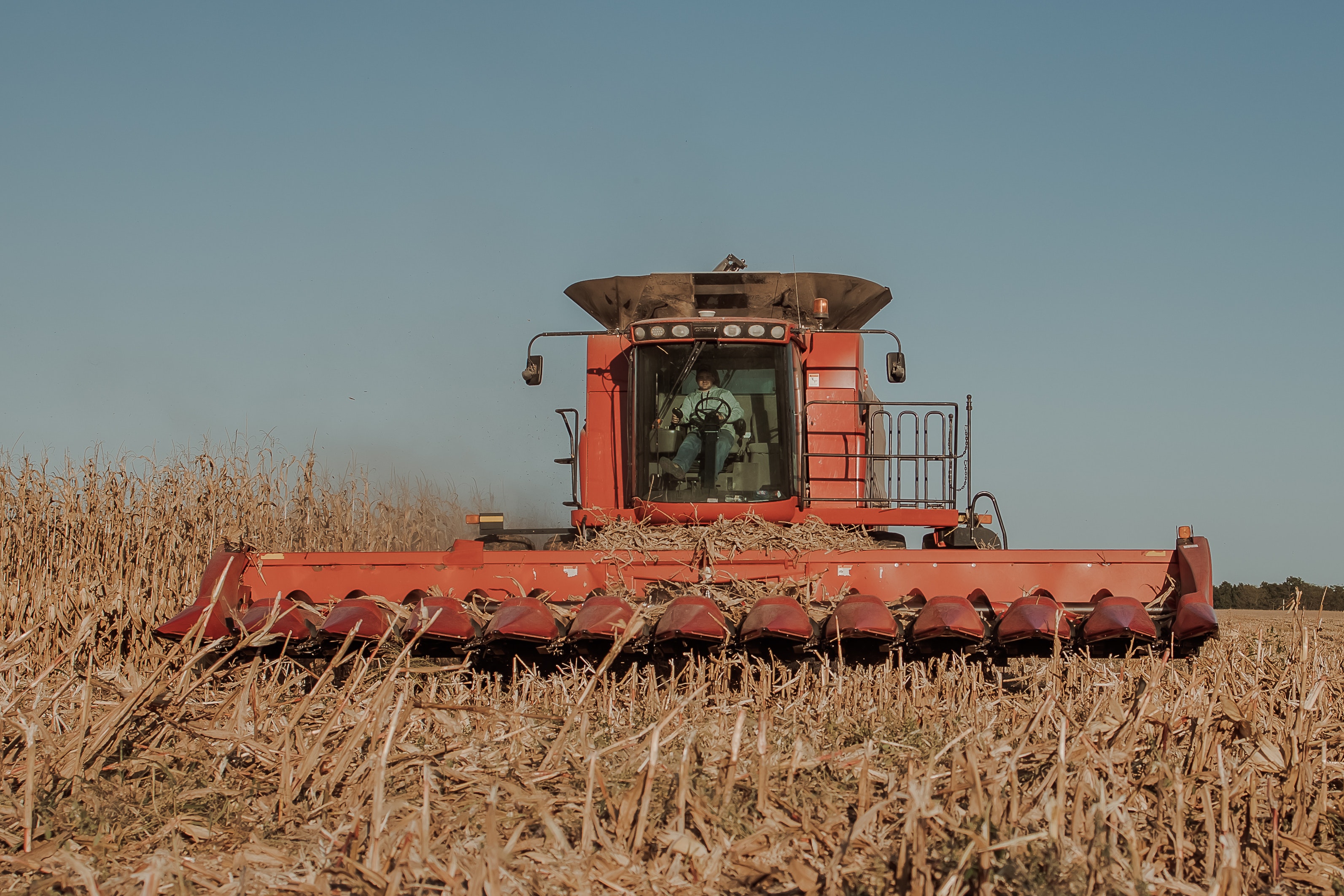 Desafios e oportunidades do agro brasileiro