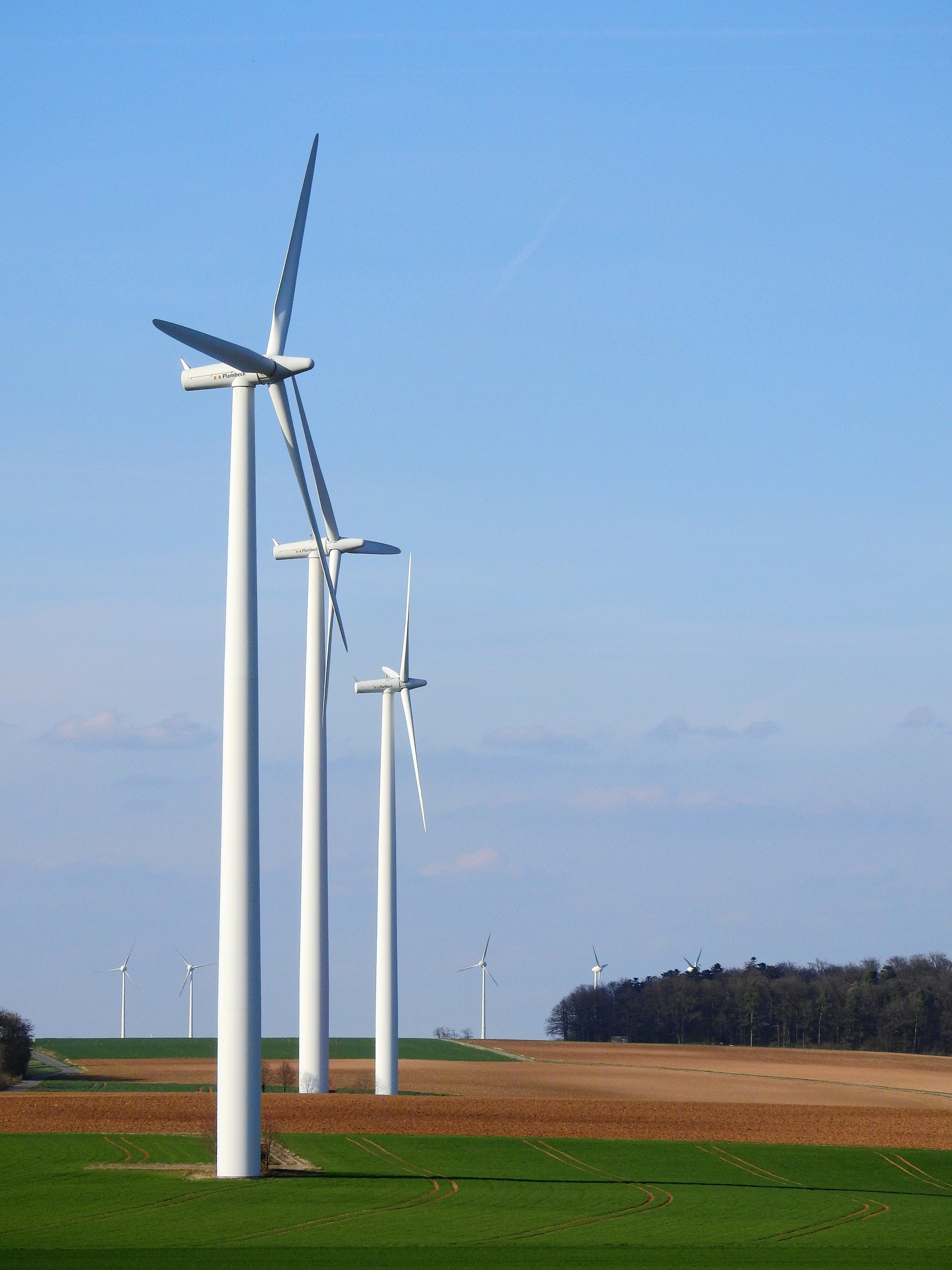 Omega e Air Liquide assinam contrato para fornecimento de energia renovável