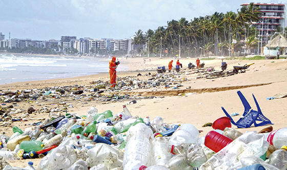 Cidades e mobilidade sustentável