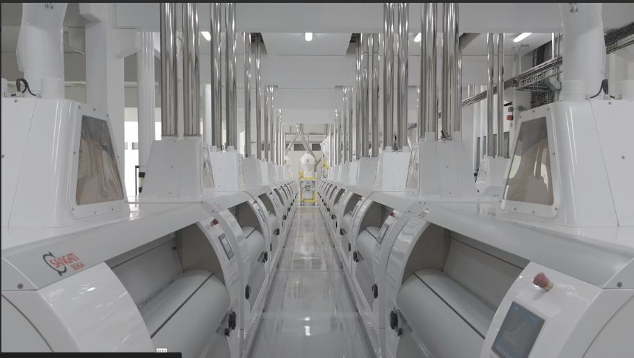 Selmi amplia capacidade de armazenagem de trigo no Paraná e reforça aposta em eficiência e qualidad